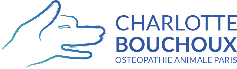 Ostéopathie Animale Paris